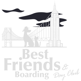 Best Friends Boarding New York City Upper Manhattan